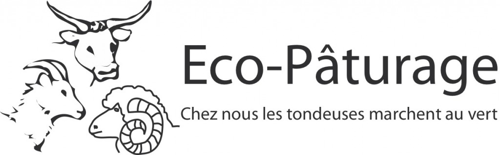 Logo eco patuage