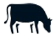 vache